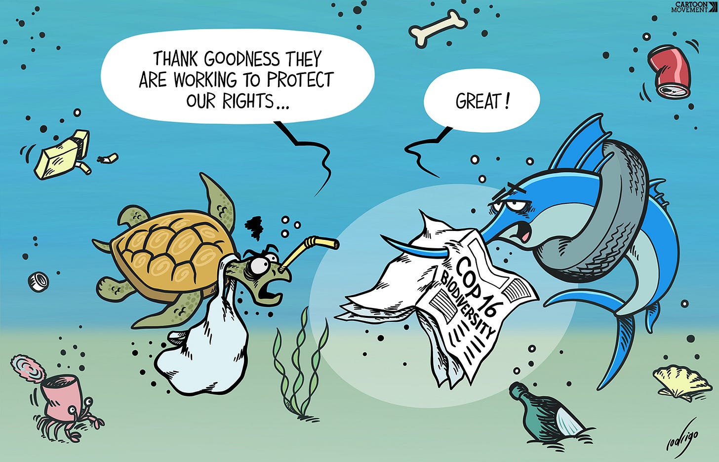 Cartoon showing a turtle with a plastic bag that has been twisted around its neck, and a sword fish with a rubber tire around its body and a newspaper with the headline 'COP16 Biodiversity' caught on its nose. They are swimming in a sea littered with trash, The turtle says: 'Thank goodness they are working to protect our rights...'. The sword fish replies: 'Great!'