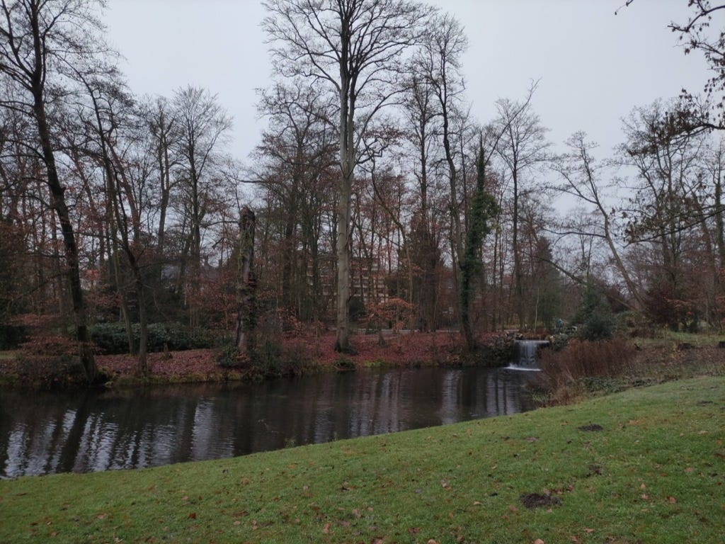 A small waterfall into a large pool, with grass nearest the camera and tall trees on the far side of the pool, and dark red leaves on the ground.