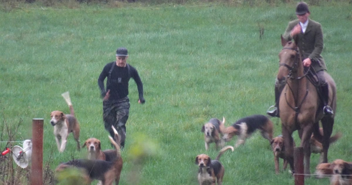 A member of Cheshire Monitors runs alongside Chris Woodward, huntsman of the Wynnstay Hunt as he rides with his pack of hounds.