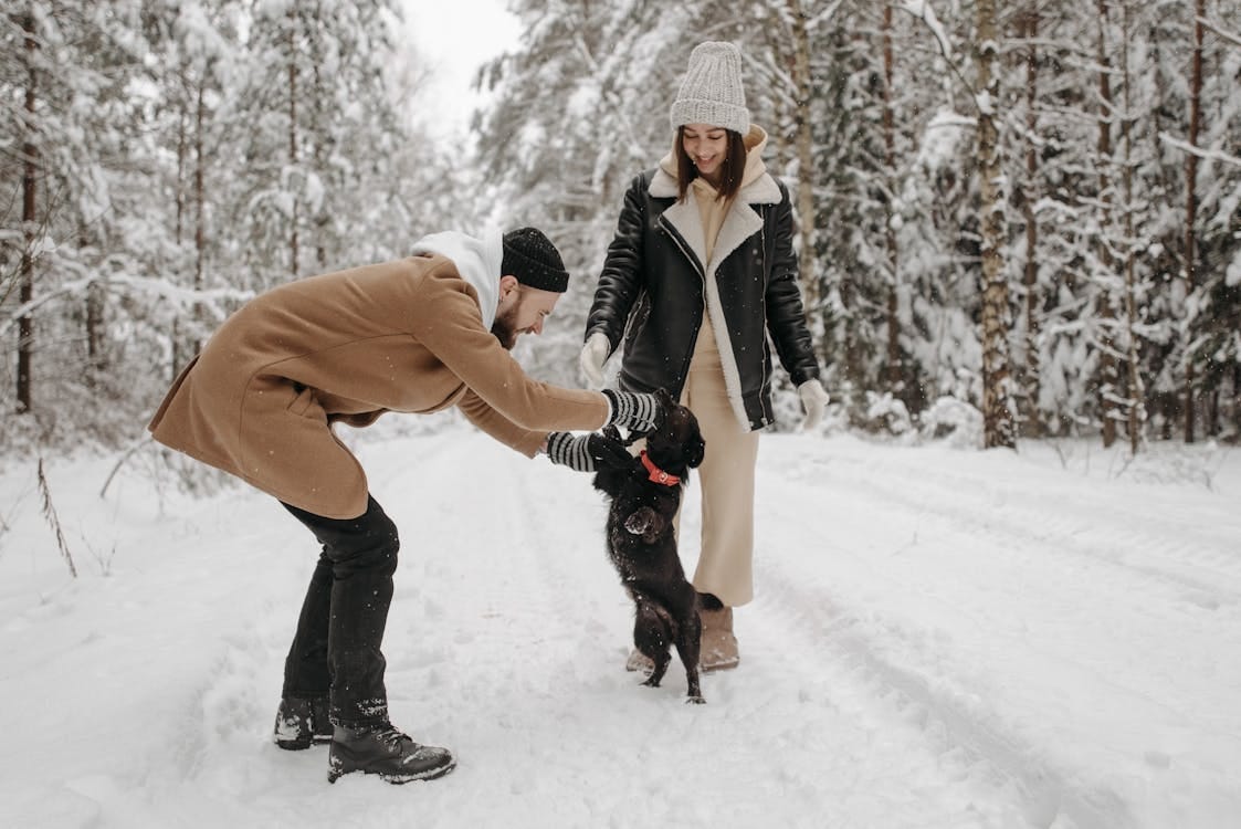 Free A couple enjoys a playful moment with their dog in a snow-covered forest in wintertime. Stock Photo