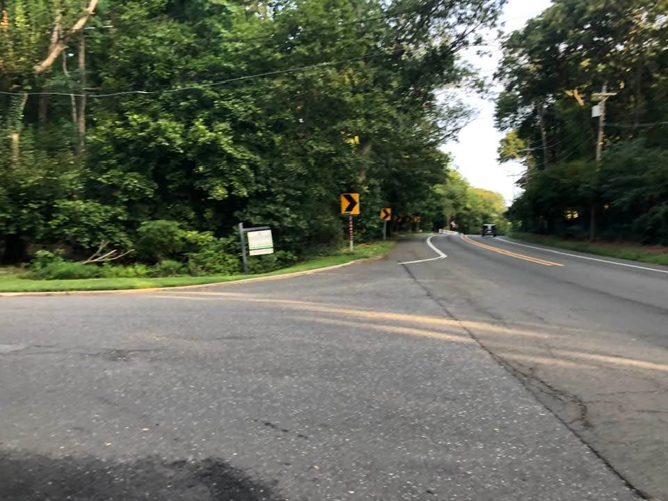 May be an image of grass and road