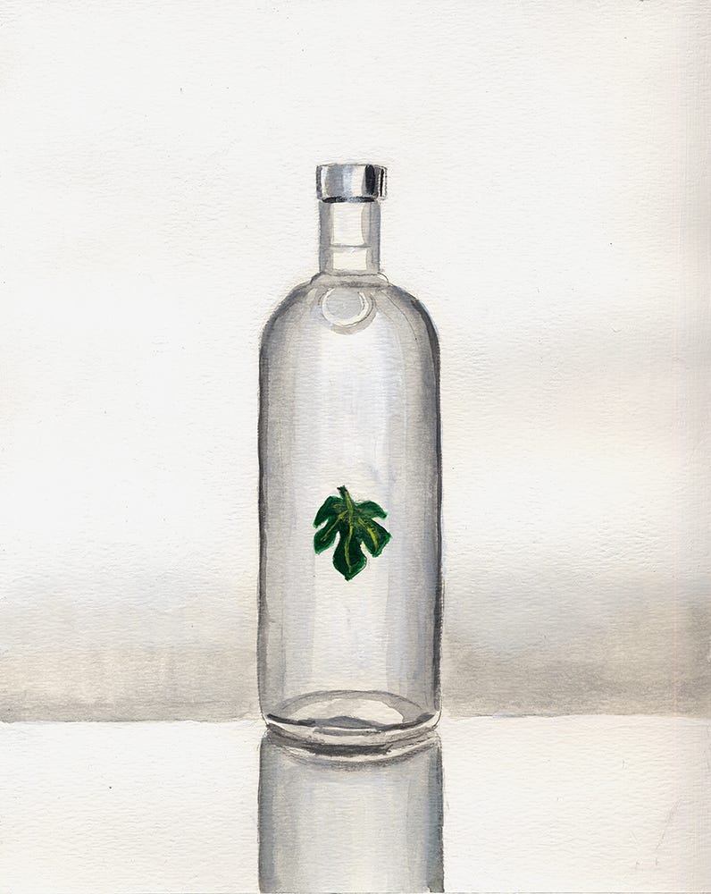 watercolour painting of a vodka bottle with a fig leaf