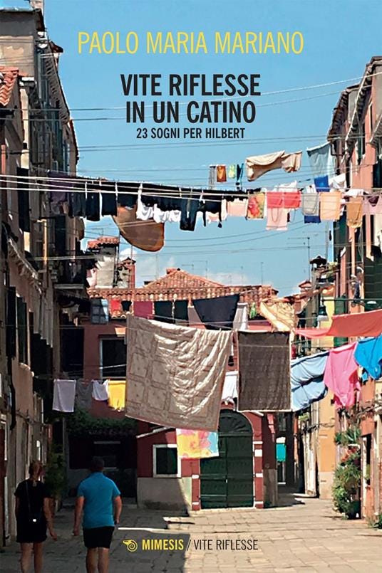 Vite riflesse in un catino. 23 sogni per Hilbert - Paolo Maria Mariano - ebook