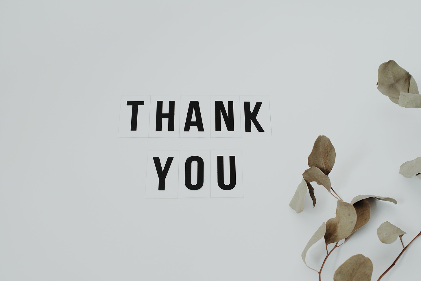 1,000+ Best Thank You Images · 100% Free Download · Pexels Stock Photos