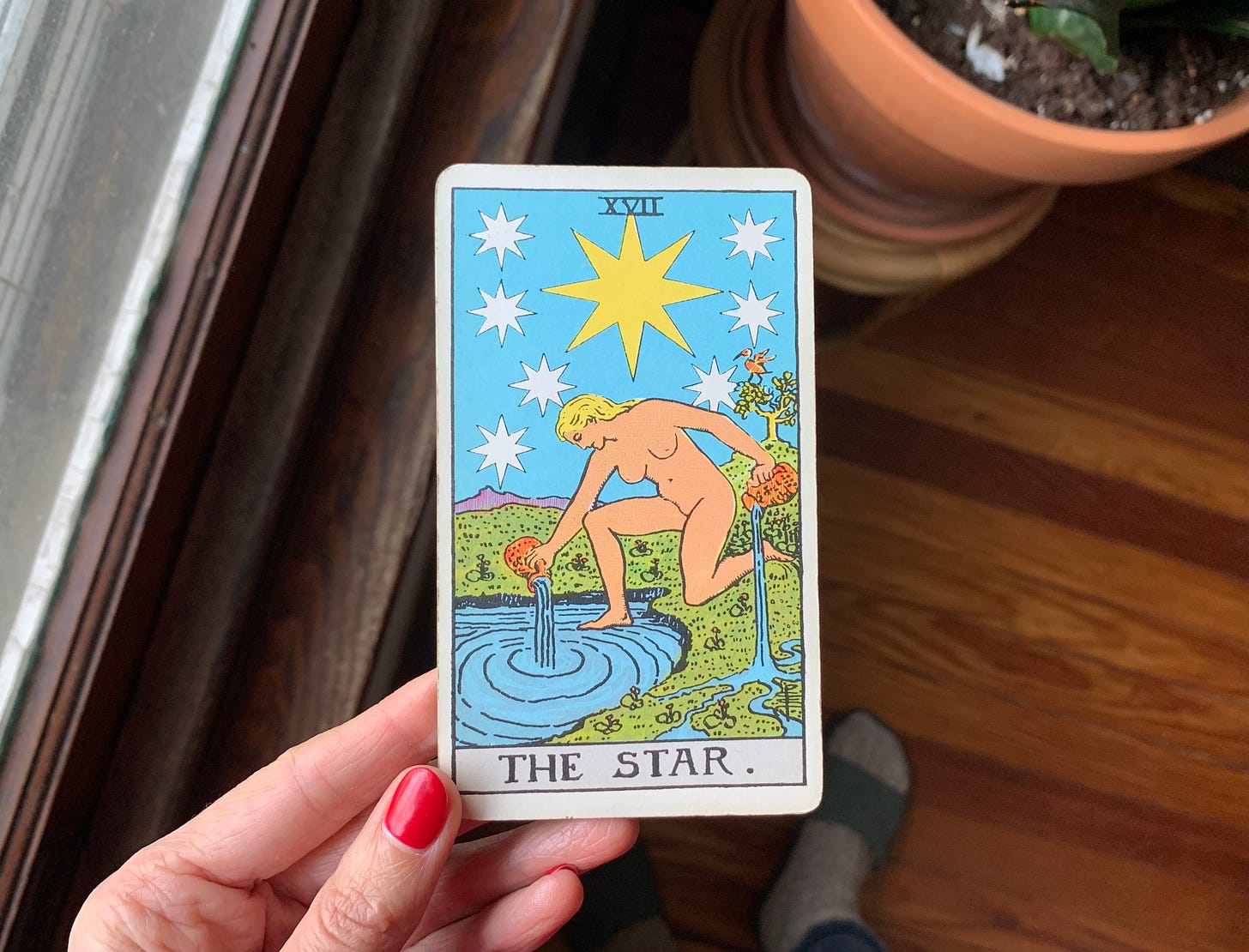A hand is holding a tarot card, The Star by Pamela Colman Smith for the Rider-Waite-Smith Tarot. In the image a person is kneeling next to a small pool of water, they have one knee down on the earth and one foot in the water. They are holding to water vessels and pouring water onto the land and into the pool at once. There are stars, with one big yellow one in the center. Behind the card is a wooden window sill, a big plant and a wood floor. The person holding the card is wearing wool socks and slides, which are visible in the background.