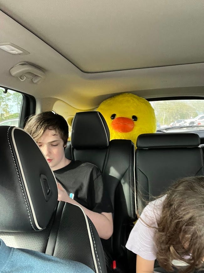 Photo of a giant duck plushie in the back seat of an SUV. The duck’s head is visible above the middle seat.