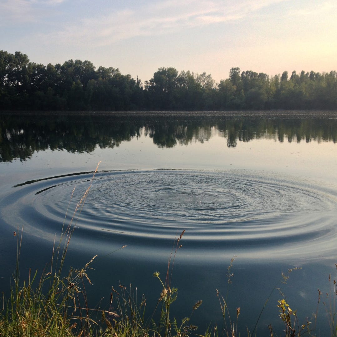 Image of water rippling out in a still pond or lake.