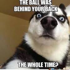 Josh Martin - LOL shock and awe | Facebook