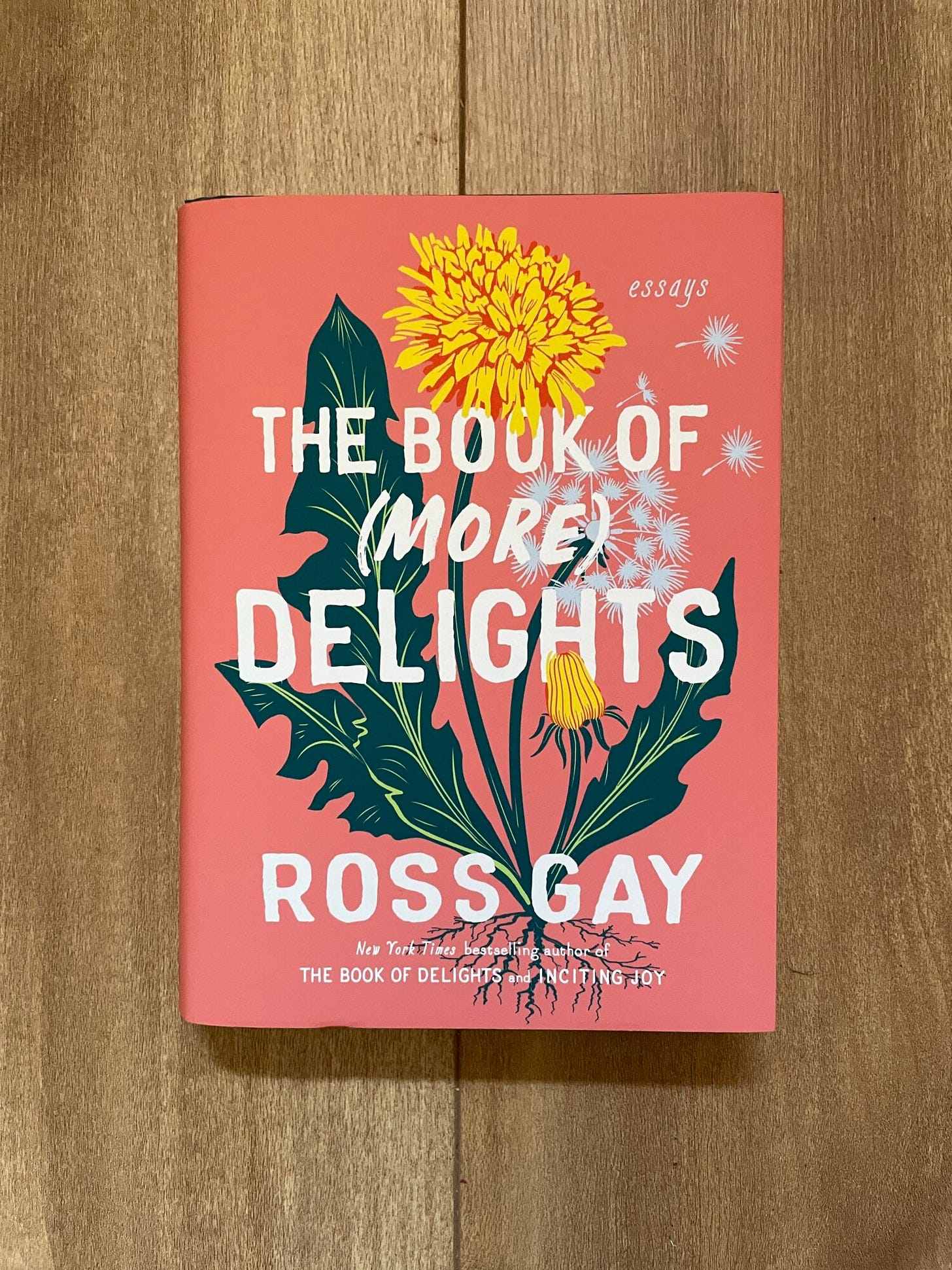 The Book of More Delights by Ross Gay