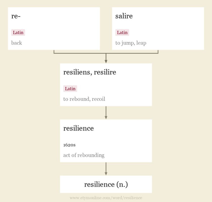 Origin and meaning of resilience