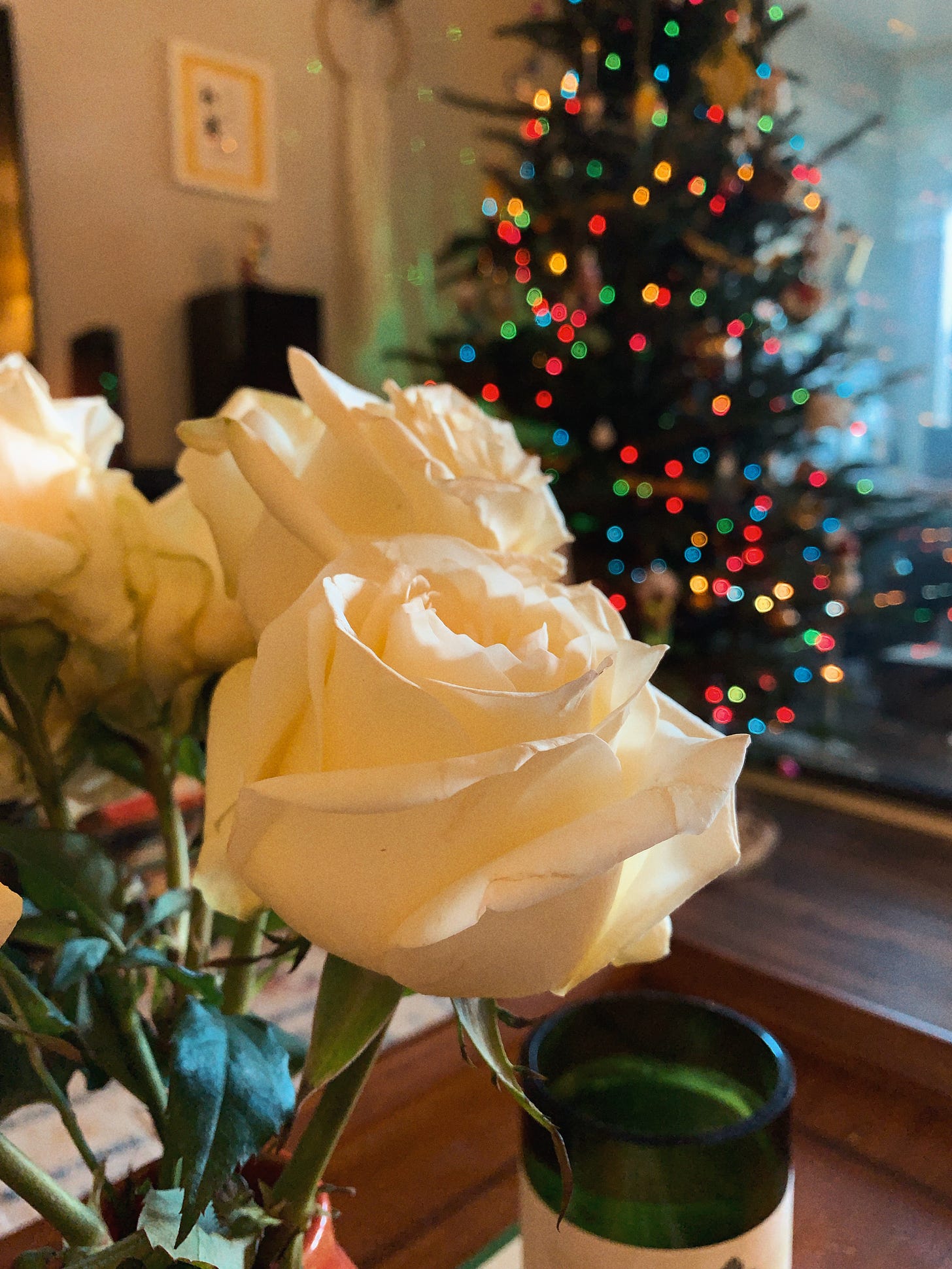 Bouquet of white roses in the foreground with a colorful Christmas tree behind it with bokeh lights.