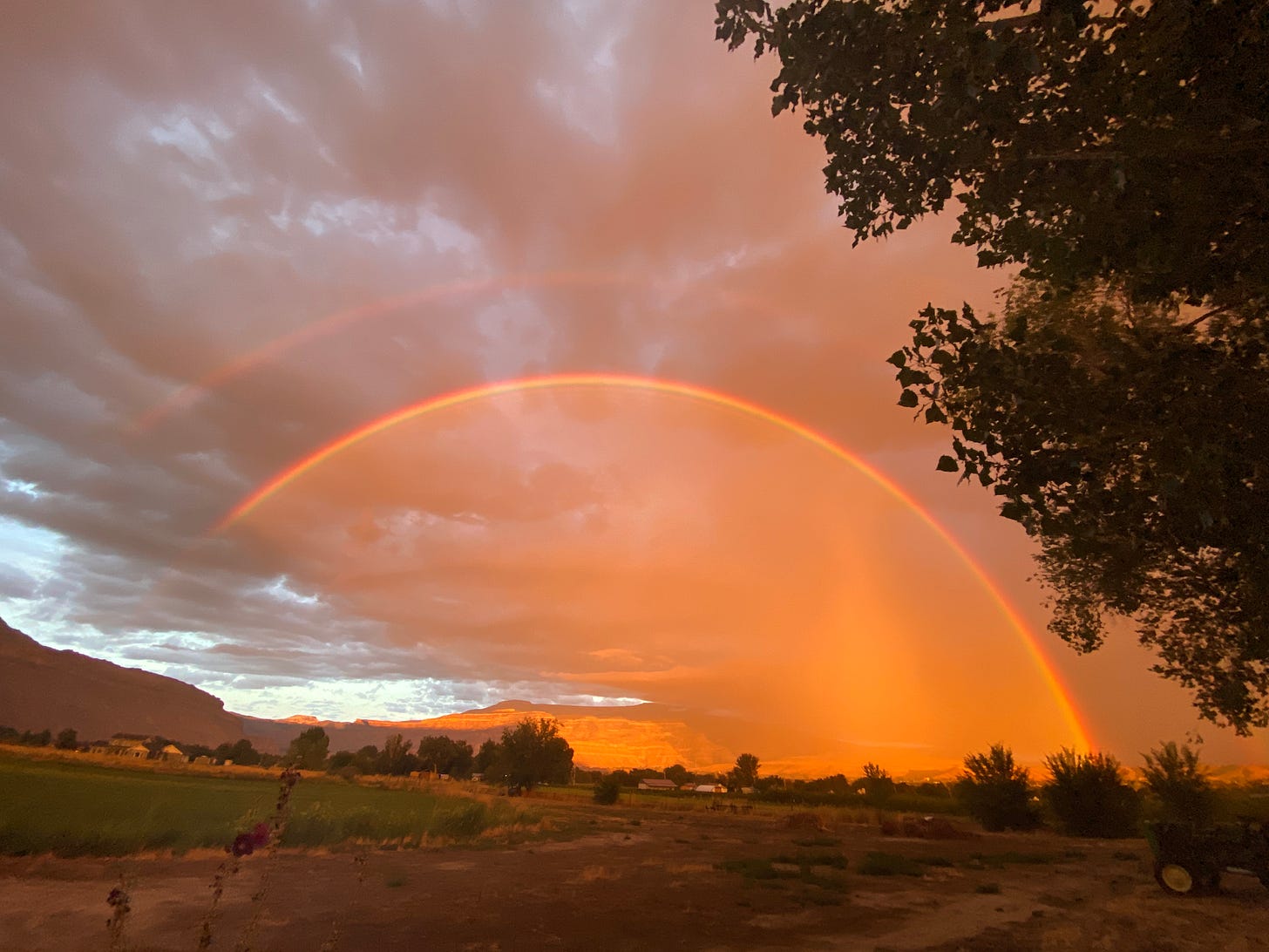 A double rainbow lit by golden light below and a farm landscape. Palisade, Colorado, August 13, 2024.