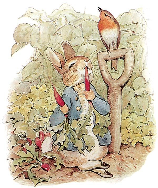 https://cdn.britannica.com/01/151201-050-60D78E12/Peter-Rabbit-Beatrix-Potter.jpg