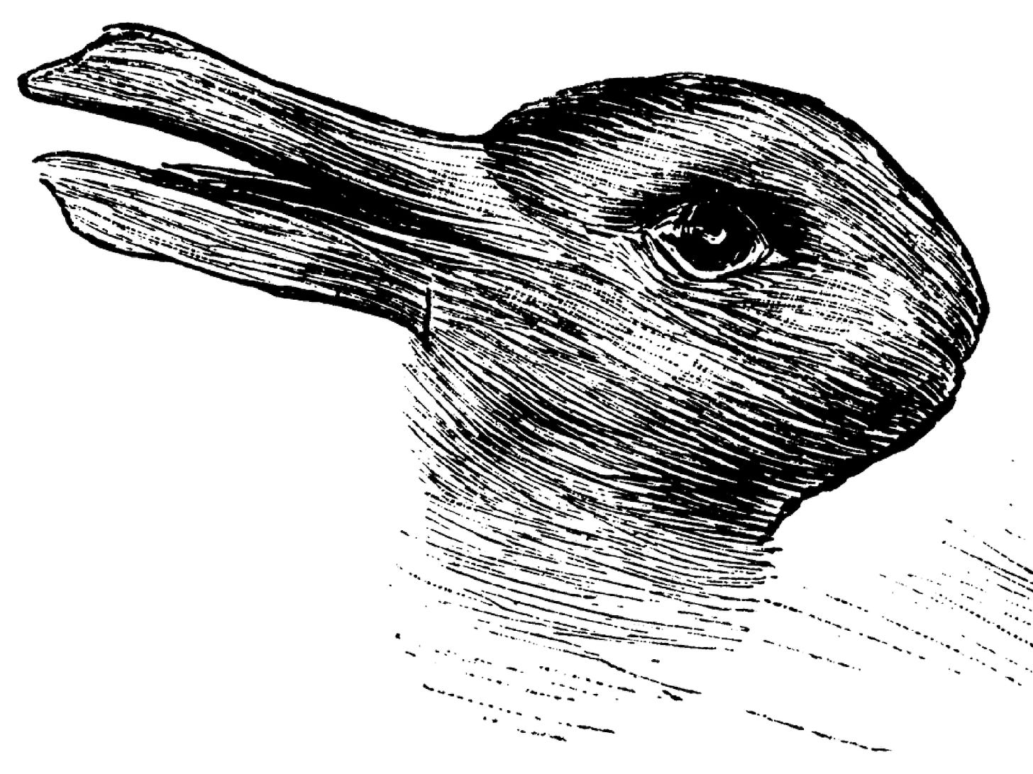 Famous drawing that can be seen as a duck or a rabbit. The rabbit's ears can be seen as a duck's bill.