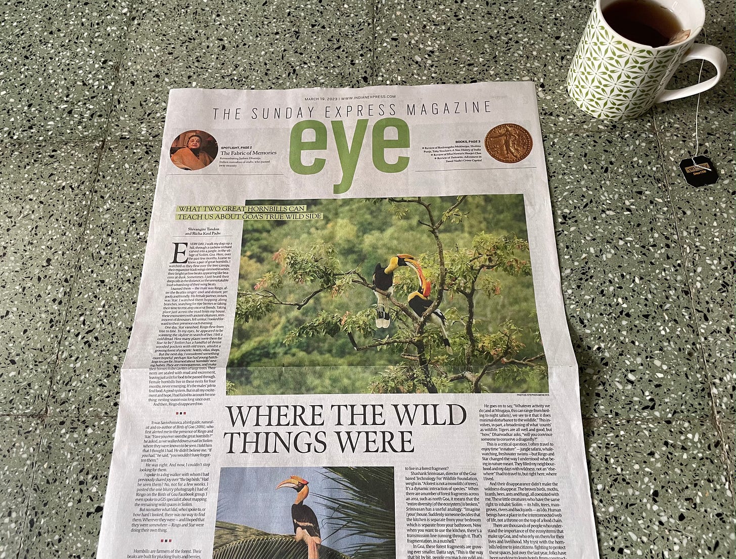 a newspaper against a mosaic floor. it reads: the sunday express magazine eye. the full page spread has two large pictures of great hornbills, and the title reads: where the wile things were. 