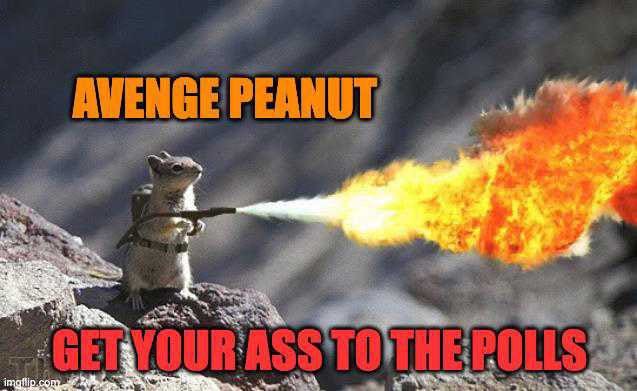 Jess on X: "Avenge peanut!!! https://t.co/ctfV1Igqcn" / X