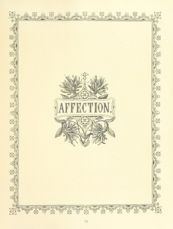 ilustração em preto e branco. ao centro, a palavra affection, rodeada por arabescos e folhas. nas bordas, arabescos formando um retângulo.