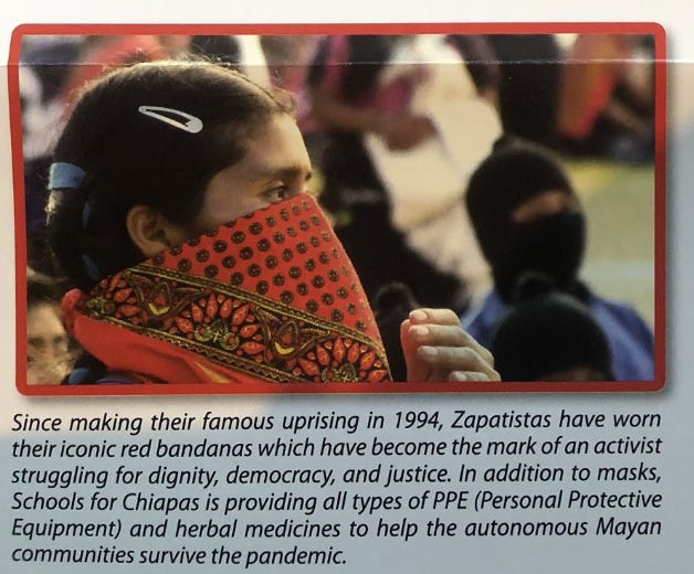 A young woman wearing a red bandana, with the caption: "Since making their famous uprising in 1994, Zapatistas have worn their iconic red bandanas which have become the mark of an activist struggling for dignity, democracy, and justice. In addiction to masks, School for Chiapas is providing all types of PPE and herbal medicines to help the autonomous Mayan communities survive the pandemic.
