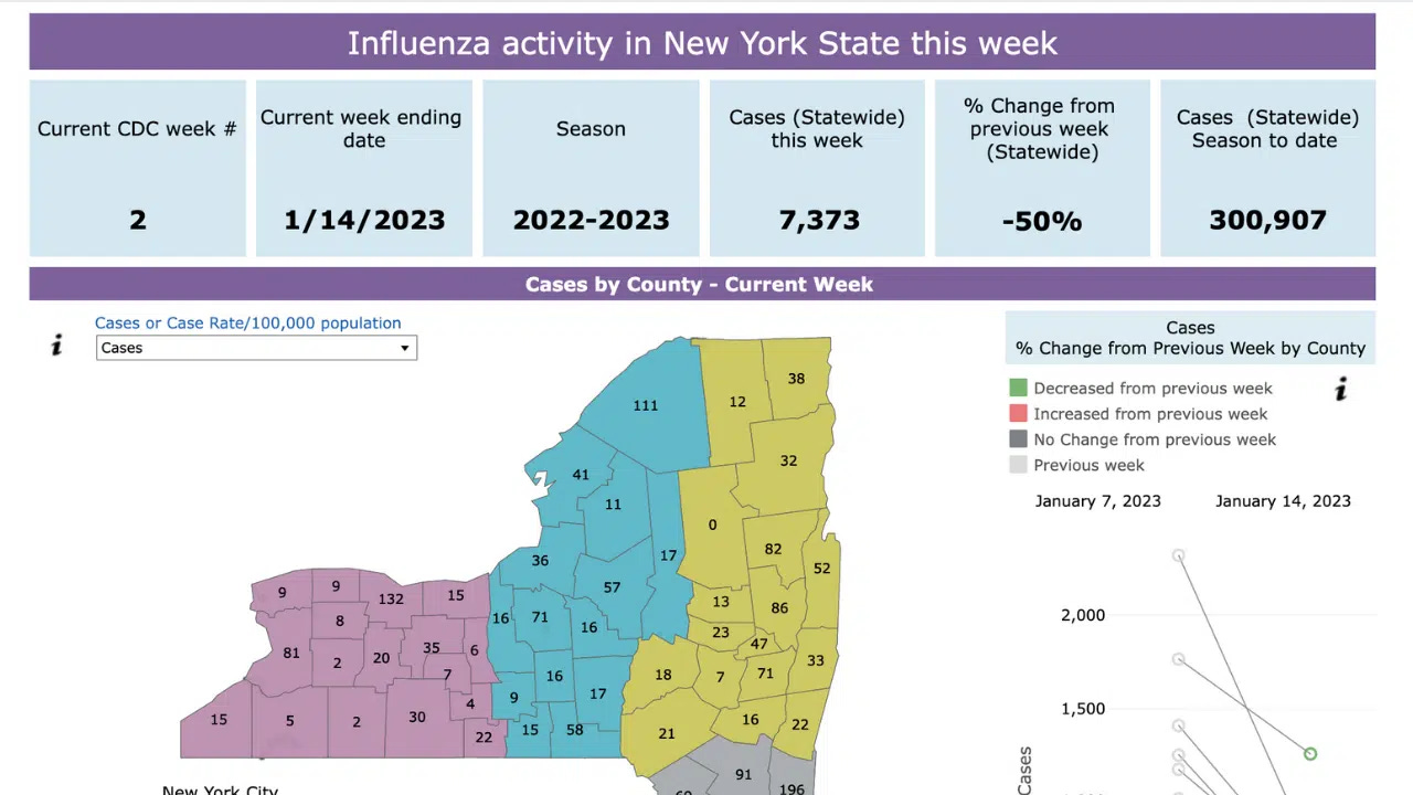 Flu cases drop 50% across New York: How many cases are there in the Finger Lakes?