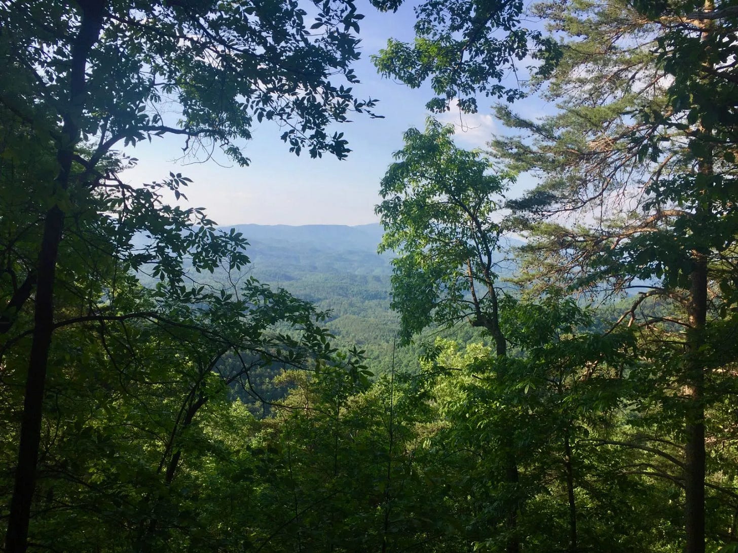 Les Smokies Les Smokies