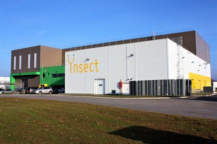 Ÿnsect set to expand internationally, building new factories in the US and  Mexico