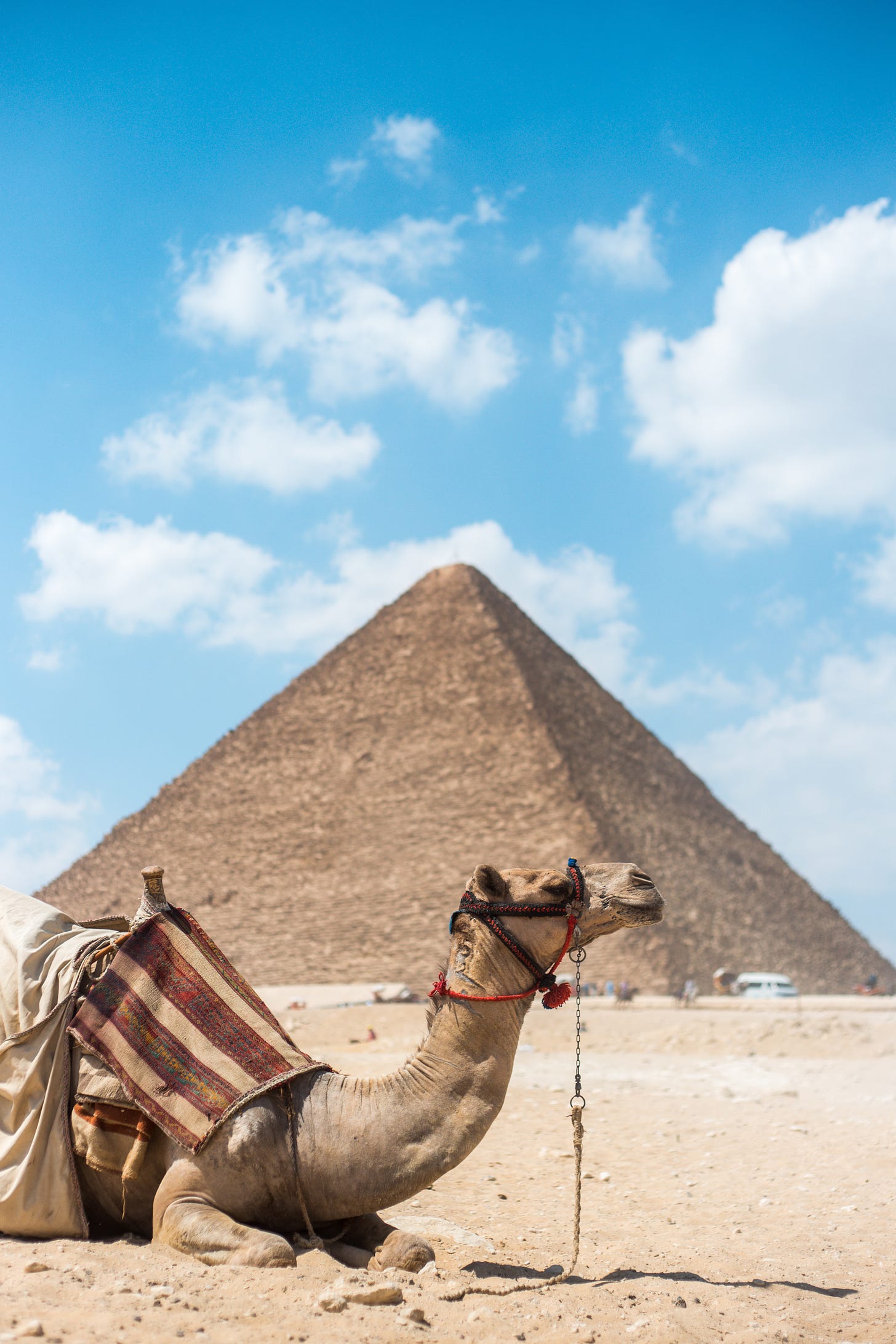 A camel lying in front of one of the pyramids at Giza with a blue sky and fluffy white clouds above