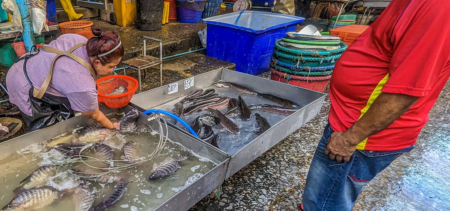 A fishmonger grabs a fish for a customer. 