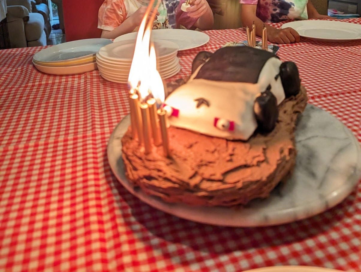 a Tesla-shaped cake