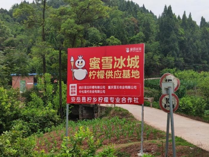 一年卖出几亿杯的冰鲜柠檬水背后的乡村振兴范本- 21经济网
