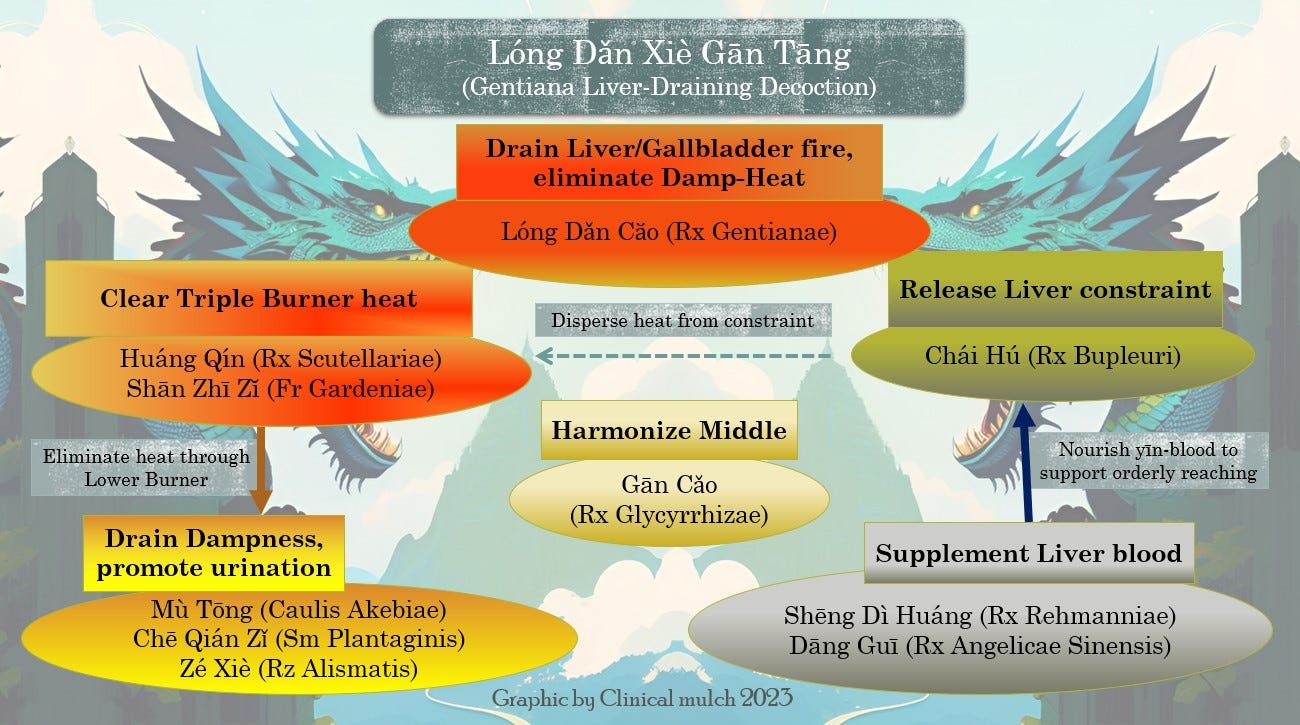 Infographic displaying the functions of LDXGT as described in the post, against a background of two snarling blue-green dragon heads facing off against each other with mountainous terrain behind.