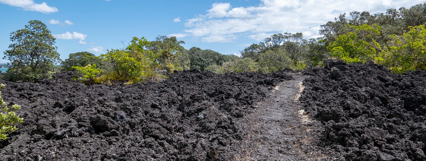 The path around Rangitoto, running across a lava field towards the woods.