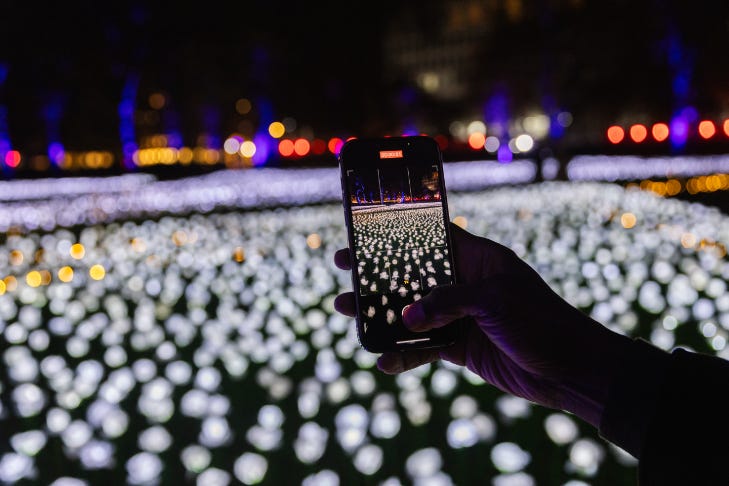 Someone photographing a field of glowing white roses on a smartphone