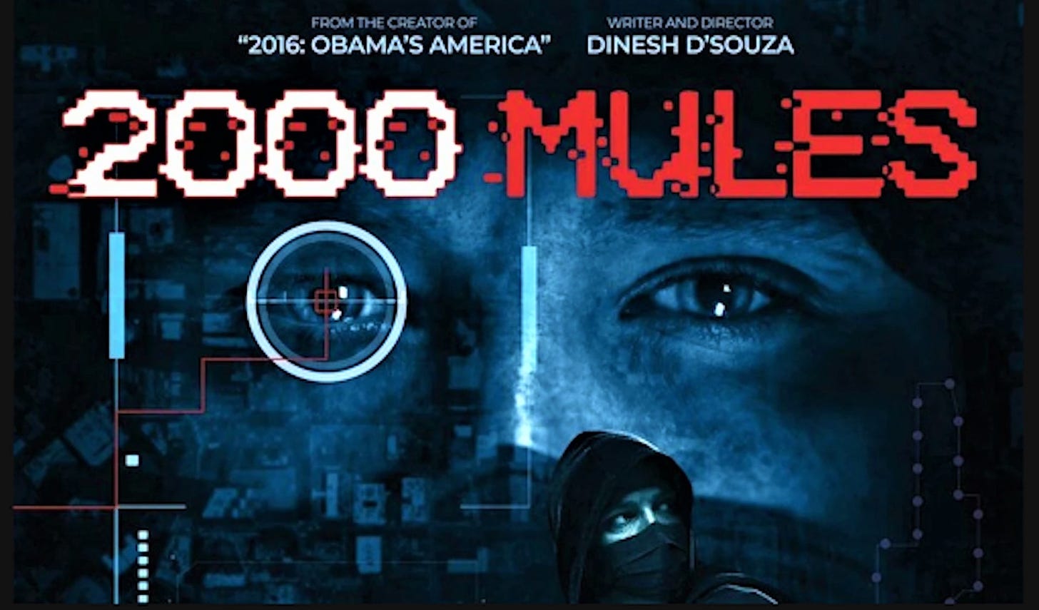 Don't Be a Donkey! 2000 Mules Movie Review |The Queens Village ...