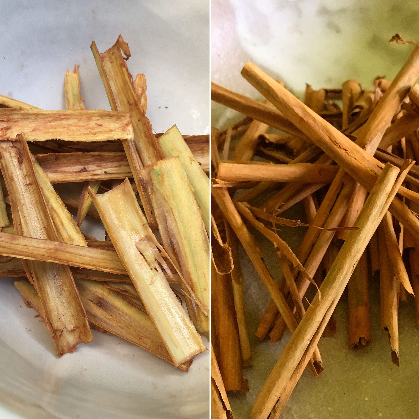 fresh and dried Ceylon cinnamon bark