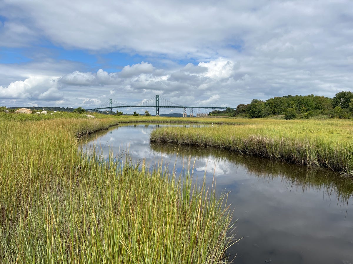 Aquidneck Land Trust conserves 2.5-acre wetlands property in Portsmouth