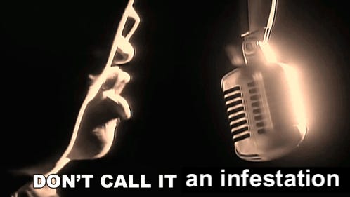 LL Cool J "Don't Call It a Comeback" scene but this says "Don't call it an infestation"