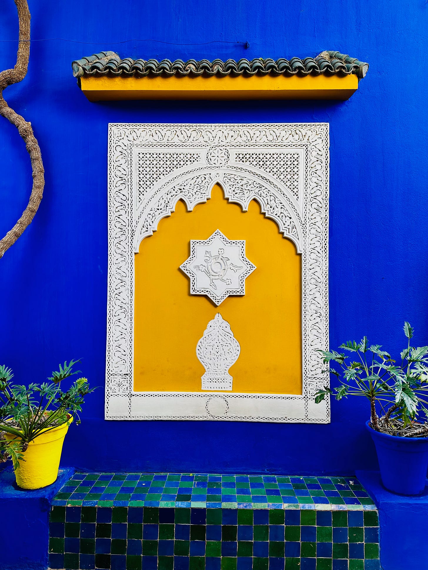 Jardin Majorelle, Marrakesh, Morocco 