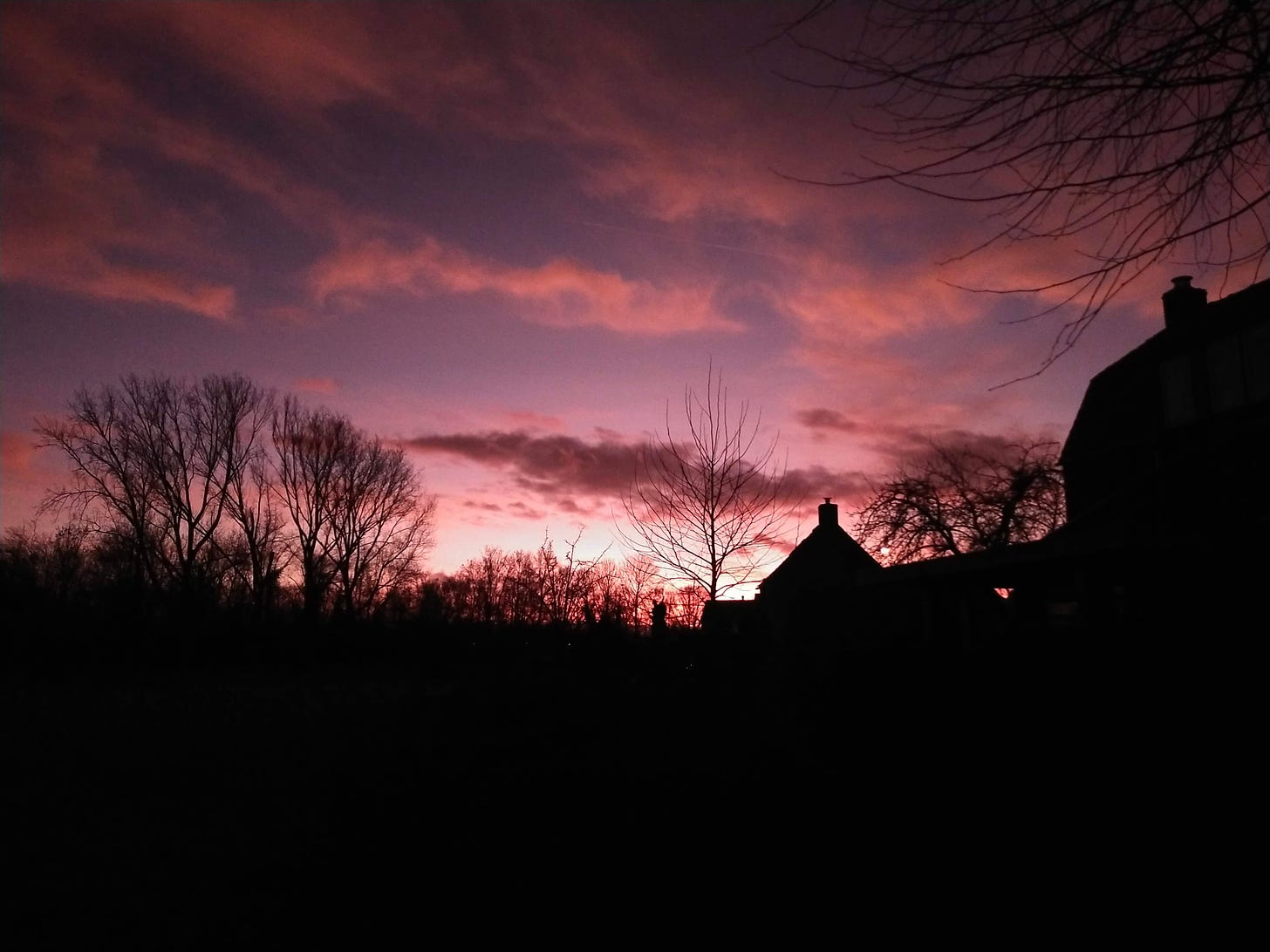 A pink and purple sunset sky over the black silhouette of houses and trees.