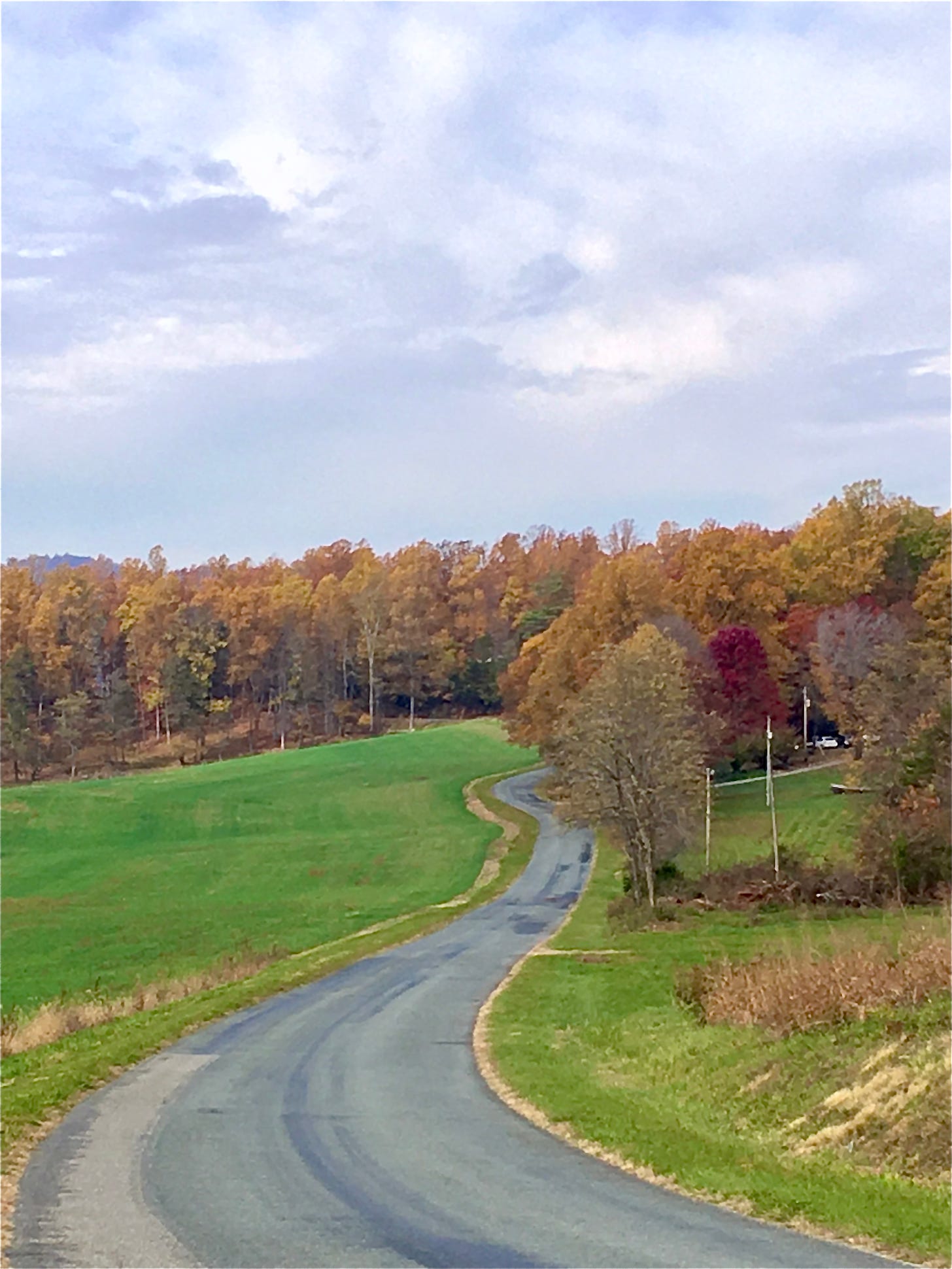 A winding country road with a wide swath of emerald green grass surrounded by yellow leaved trees and occasional red ones under a cloudy sky.