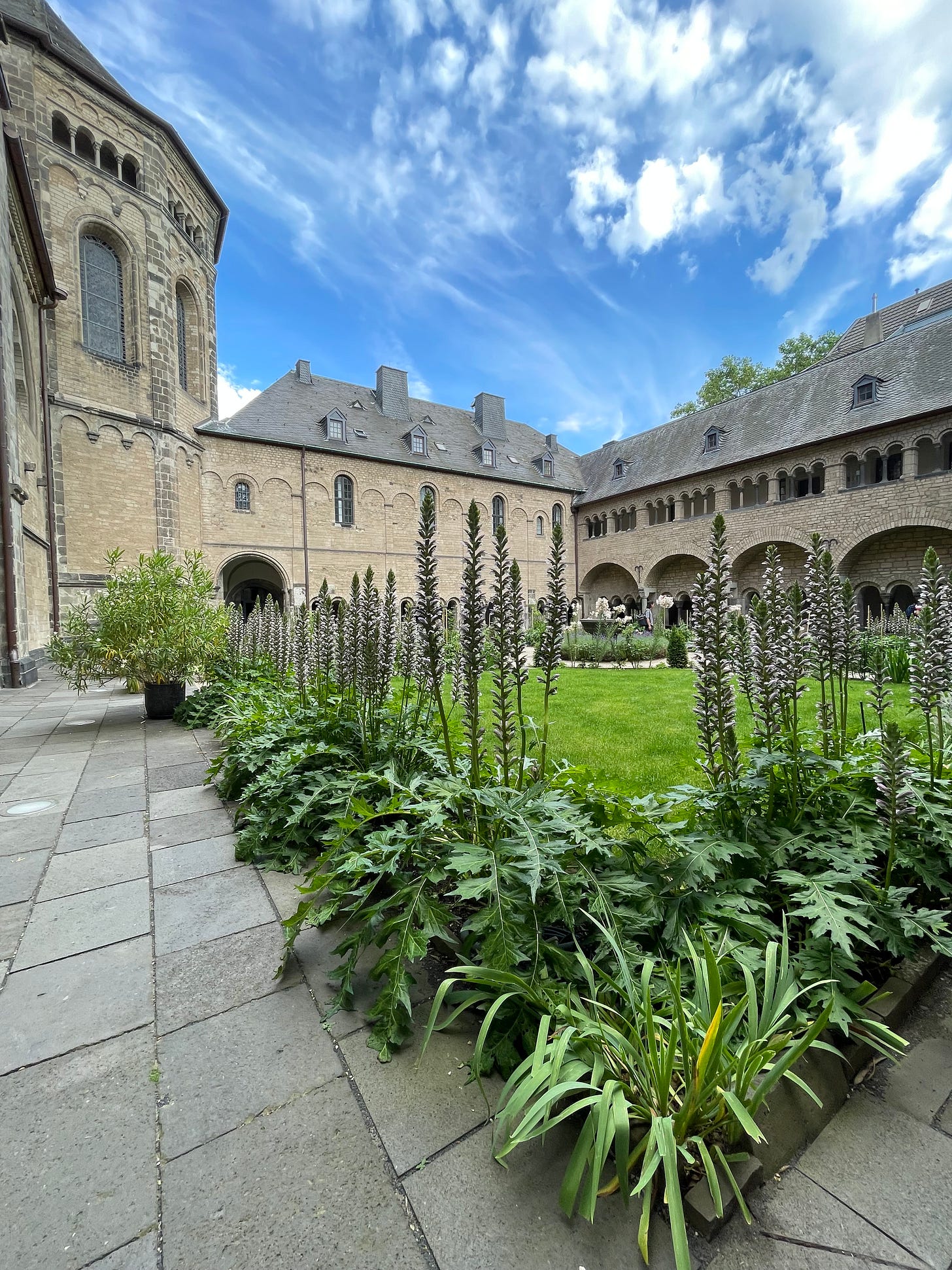 Photo of the cloister garden at the Bonn Minster, a historic church in Beethoven’s hometown of Bonn, Germany. The image shows a neatly kept lawn surrounded by tall flowering plants, framed by the Romanesque architecture of the church with arched walkways and slate rooftops beneath a bright, cloud-streaked sky. Photo: Jay Siegmann Photo of the cloister garden at the Bonn Minster, a historic church in Beethoven’s hometown of Bonn, Germany. The image shows a neatly kept lawn surrounded by tall flowering plants, framed by the Romanesque architecture of the church with arched walkways and slate rooftops beneath a bright, cloud-streaked sky. Photo: Jay Siegmann