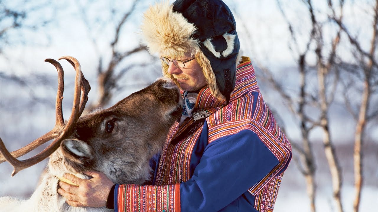 Reindeers in Finland - Kelo Resort