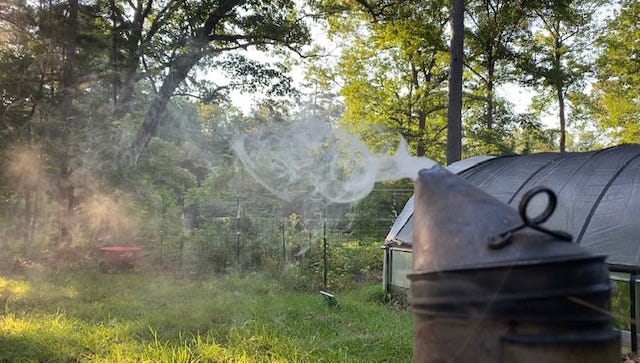 beekeeping smoker in front of a high tunnel