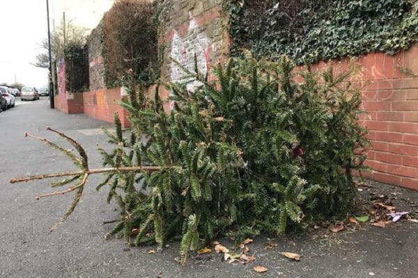 Free Christmas tree recycling in the New Year - Wandsworth Borough Council