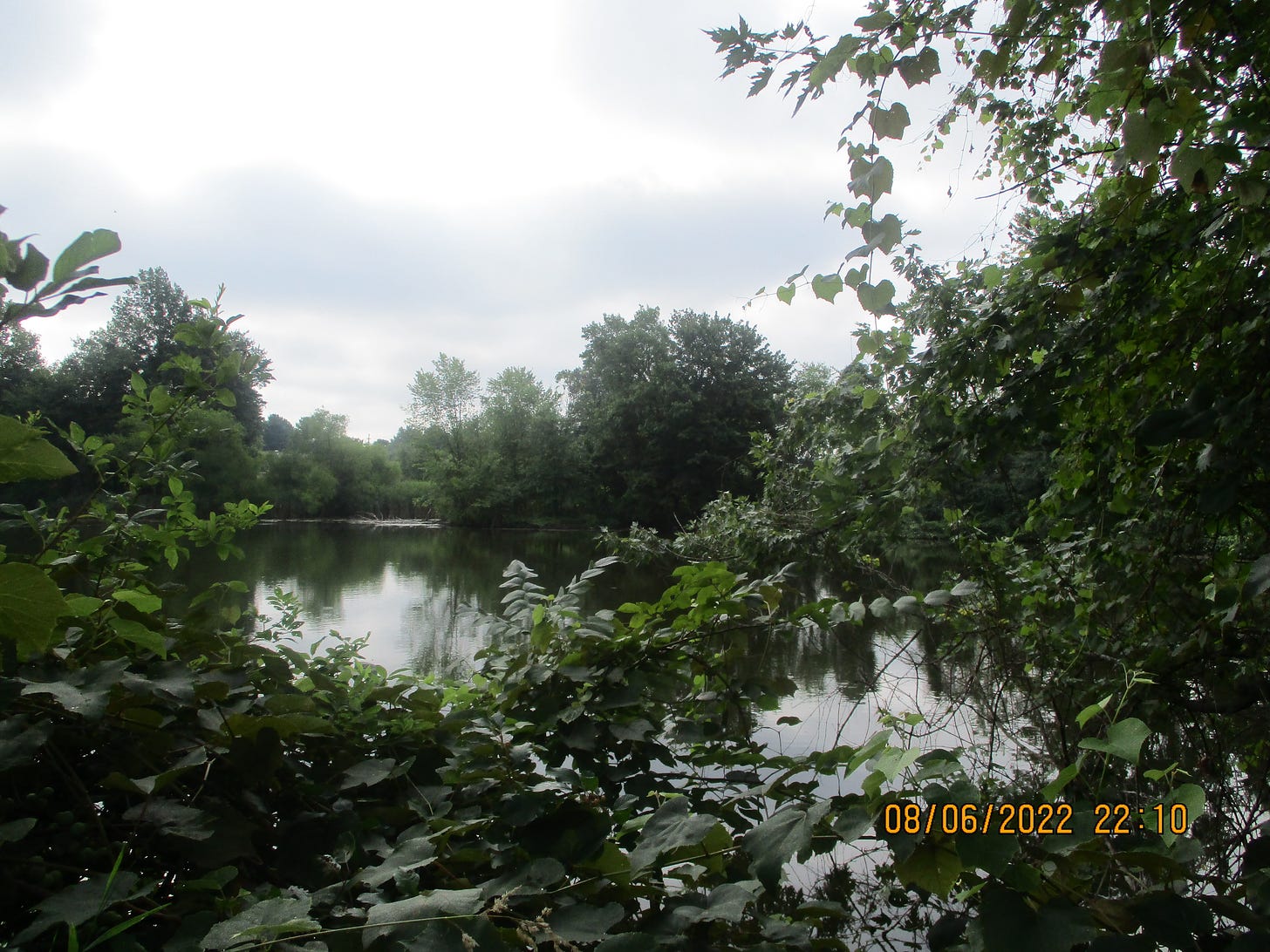 Summer photo of White Pond