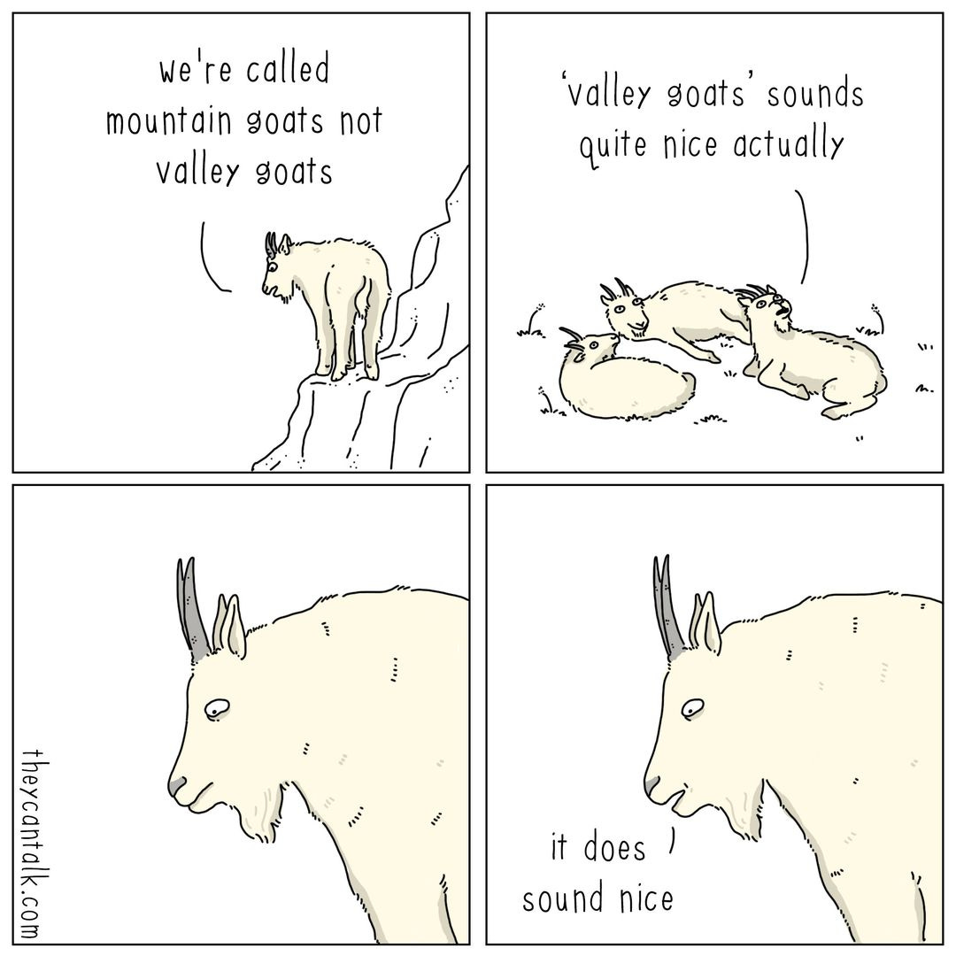 May be an image of text that says 'we're called mountain goats not valley goats 'valley goats' sounds quite nice actually batd it does) sound nice'