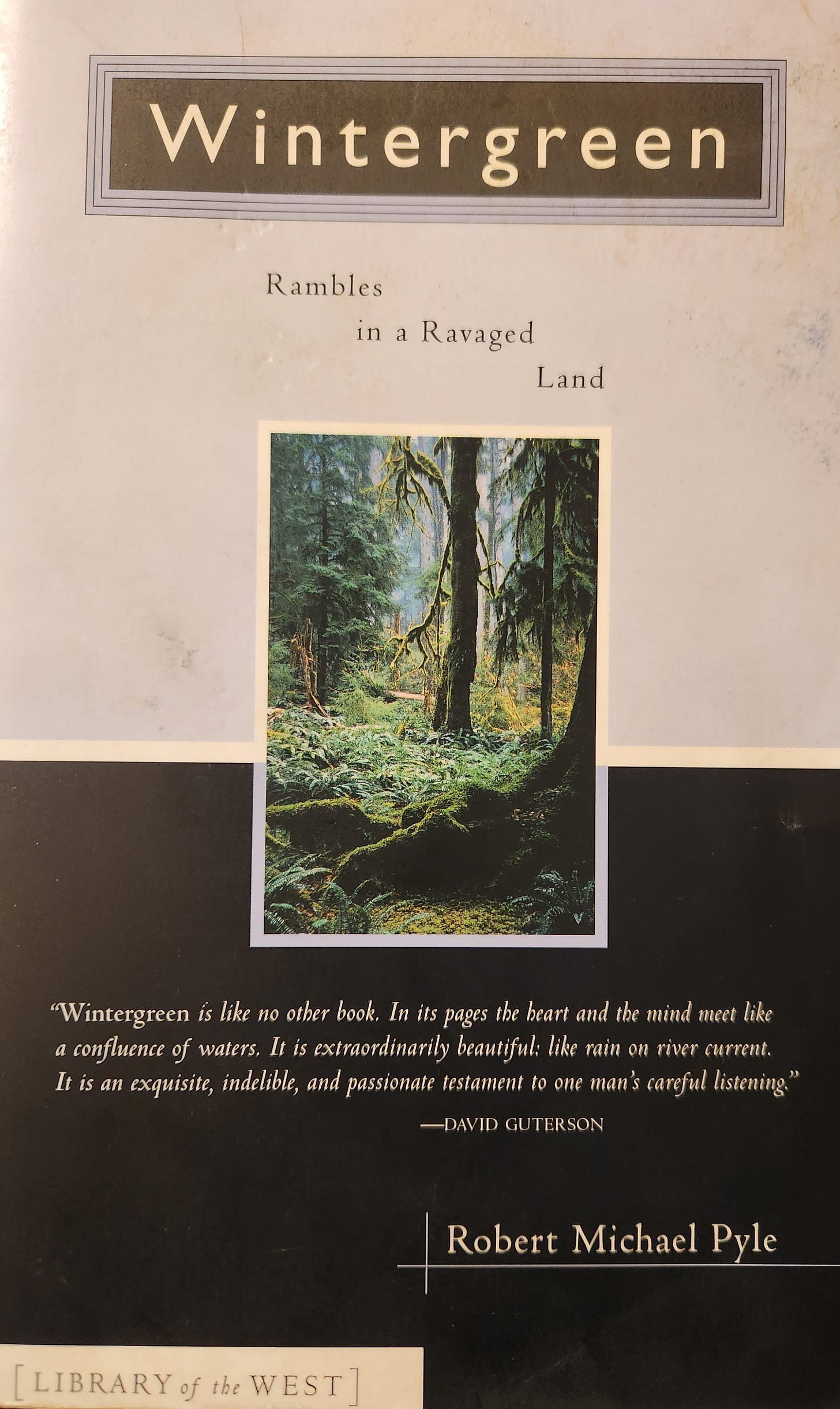 book cover of Wintergreen with green forest image in center