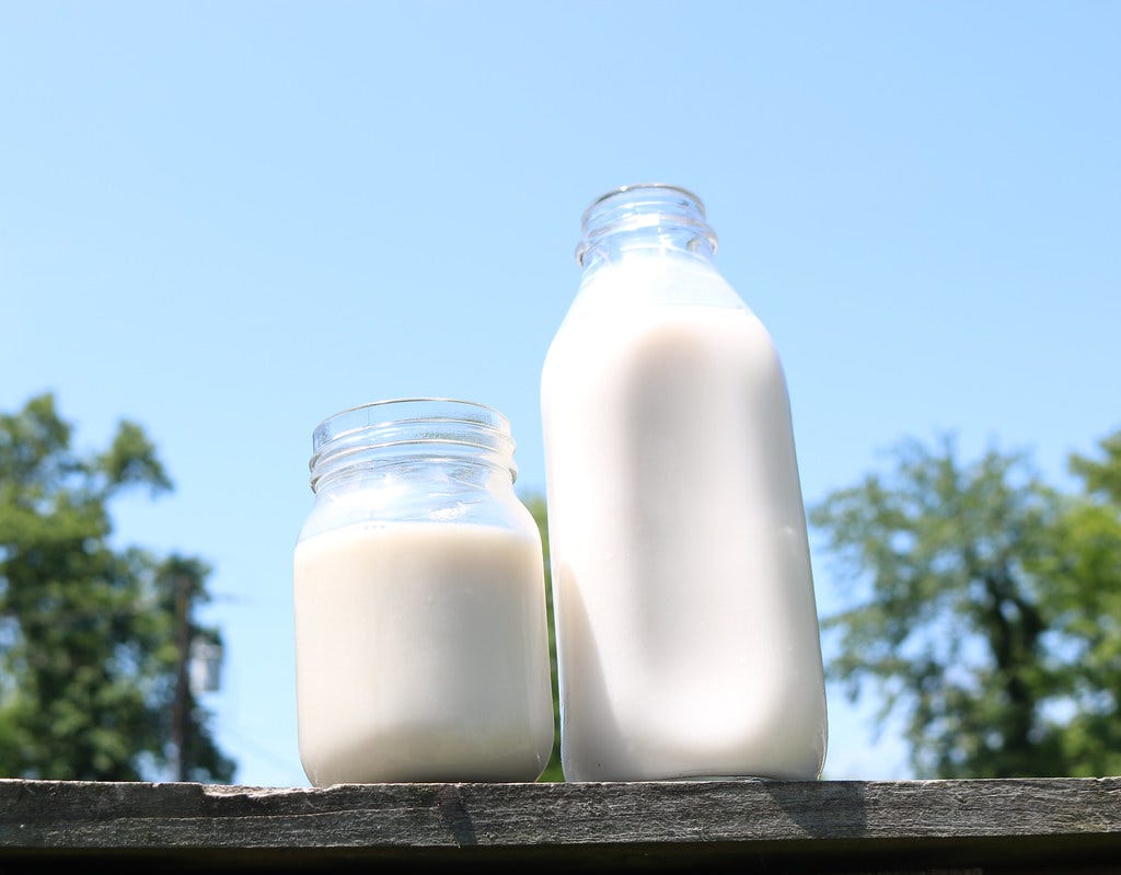 Raw Milk | Fresh milk sitting on top of a fence. Given the 2… | Flickr