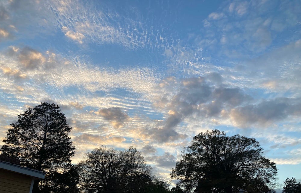 A photo of a late-afternoon sky with high clouds making wave-patterns in the blue sky above dark silhouettes of trees.