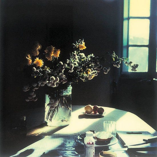 Polaroid by Andrei Tarkovsky from the book Instant Light: Tarkovsky Polaroids from Thames and Hudson.