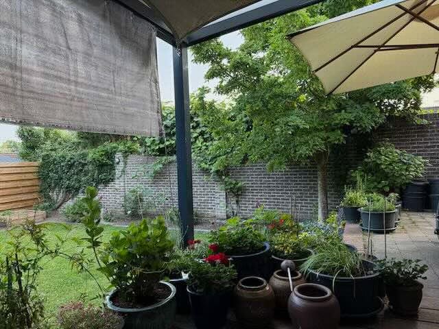 A cozy backyard patio filled with potted plants and greenery, partially shaded by a large umbrella and a fabric canopy. The garden features a grassy lawn, brick walls covered with vines, and a tree providing natural shade, creating a peaceful and inspiring outdoor space.